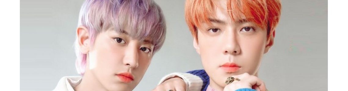 EXO-SC (EXO sub-unit)